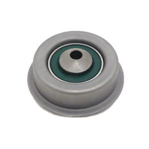 Mitsubishi Delica — Other