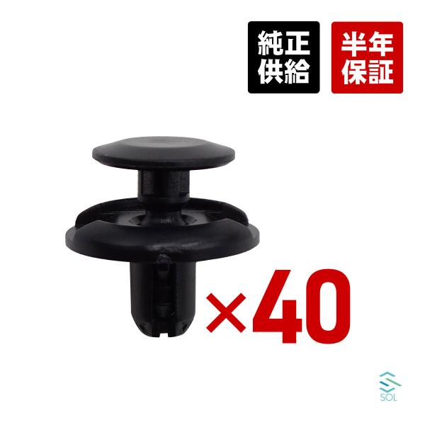 Mitsubishi Delica — Other