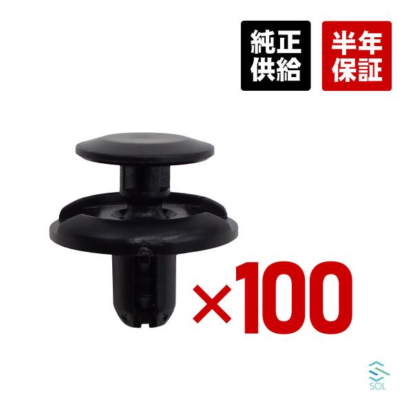 Mitsubishi Delica — Other