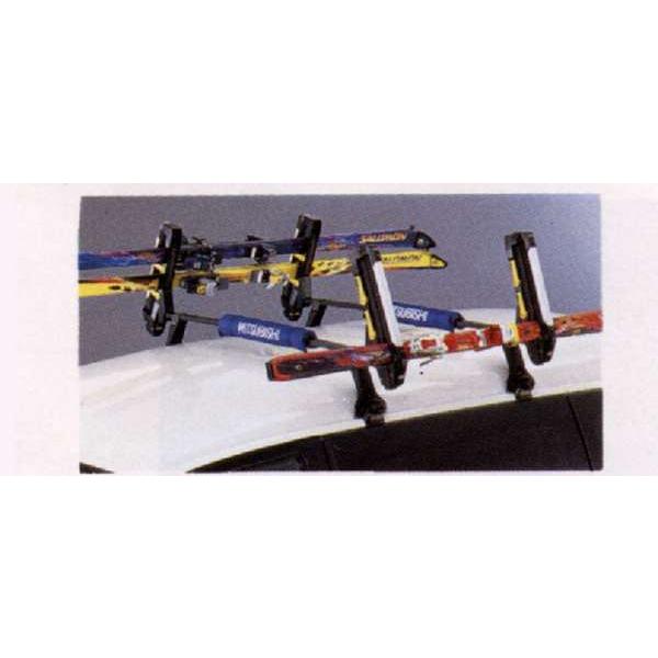 Mitsubishi Delica — Other