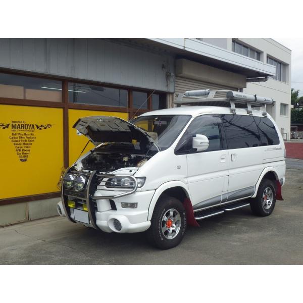 Mitsubishi Delica — Other