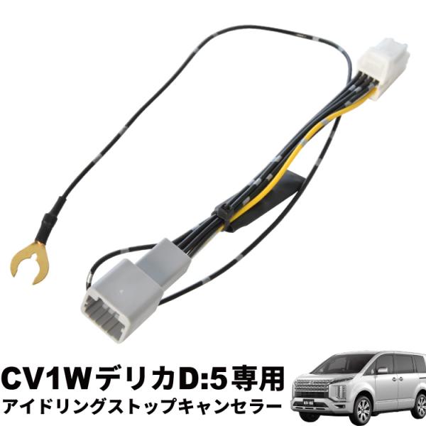 Mitsubishi Delica — Other