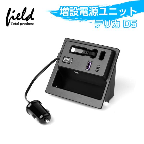 Mitsubishi Delica — Interior