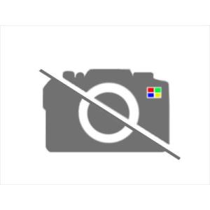 Mitsubishi Delica — Other