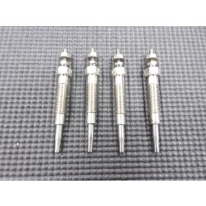 Mitsubishi Delica — Other